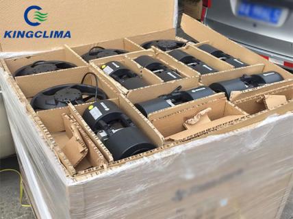Spal Condenser Fan And Evaporator Blower Exported to Russia