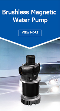 Brushless Magnetic Water Pump